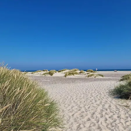 Feriehus 4 Person In Skagen-by Traum *